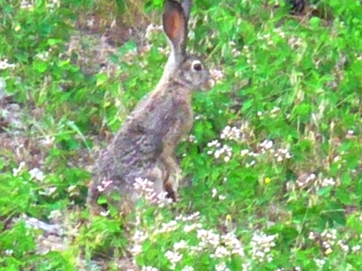 image071