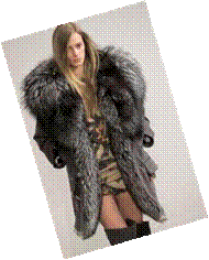 http://t1.gstatic.com/images?q=tbn:ANd9GcT3hLoi4_Yf7GvQQzpz7dE7cOiQsdX3quqAk66QXBgIluMF_KTo