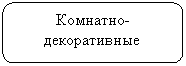 Скругленный прямоугольник: Комнатно-декоративные