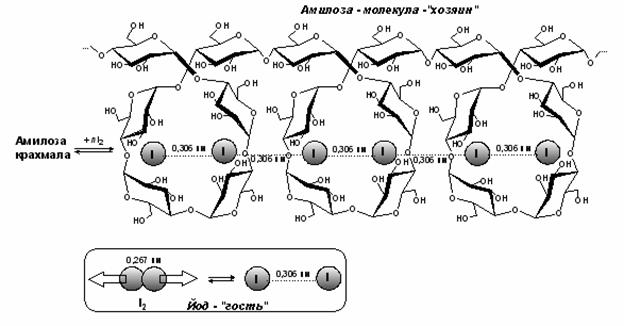 Картинка 3 из 195