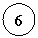 ����: 6