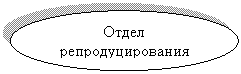 ����: ����� �����������-�����