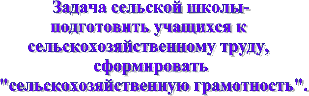 Задача сельской школы-
подготовить учащихся к
сельскохозяйственному труду,
сформировать
"сельскохозяйственную грамотность".