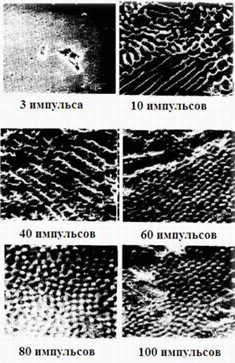 E:\User\NAUKA\Disser07\Figueira10\Рисунки\.jpg