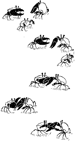 no20_2.gif (5295 bytes)