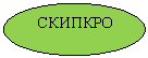 ����: �������