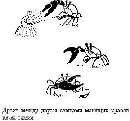 no20_3.gif (3103 bytes)