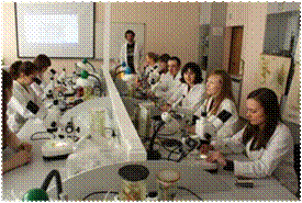DSC04072