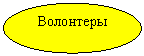 ����: ���������