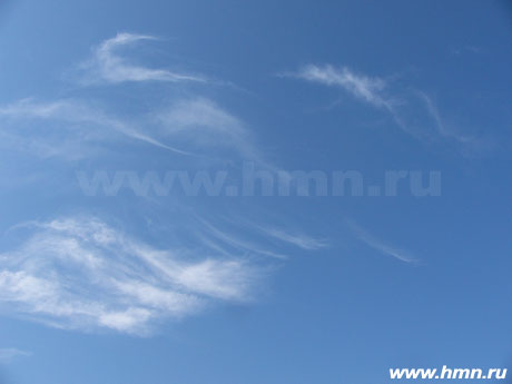 �������� ����������� - Cirrus fibratus (Ci fib)
