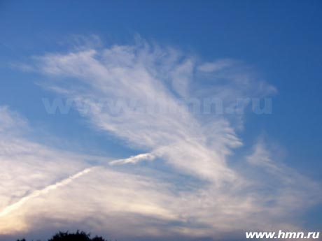 �������� ������� - Cirrus spissatus (Ci sp)