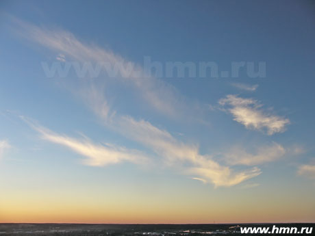�������� ������������ - Cirrus intortus (Ci int)