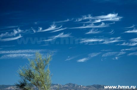 �������� ����������� - Cirrus uncinus (Ci un)
