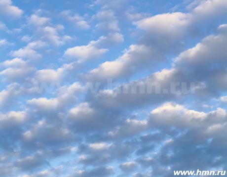 ������ - ������� ������������ - Altocumulus floccus (Ac fl)