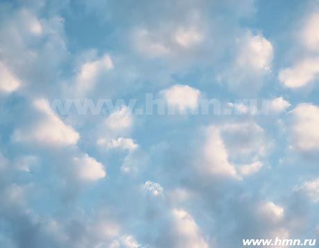������ - ������� ������������ - Altocumulus floccus (Ac fl)