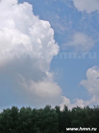 ������� ������� ������ - Cumuluc mediocris (Cu med)
