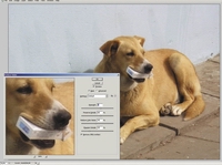 Photoshop