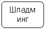 Блок-схема: альтернативный процесс: Шладминг (410км)