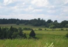 IMG_2767