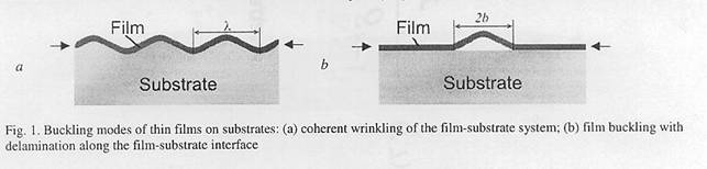 Fig1.jpg