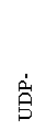 �������: UDP-�����������