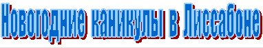 Новогодние каникулы в Лиссабоне