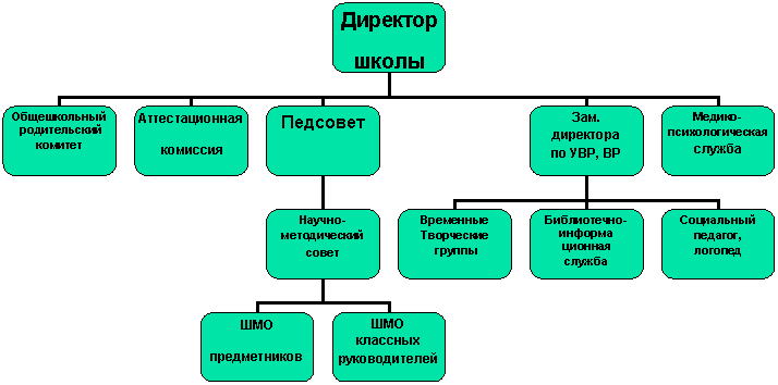 Организационная диаграмма