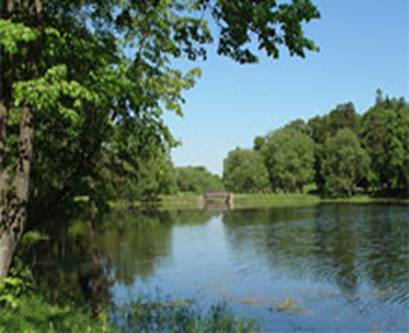 Плотина в Захаровском парке