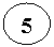 ����: 5