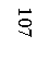 �������: 107