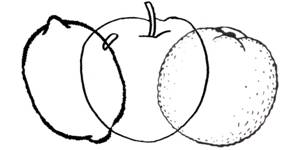 pomme.jpg