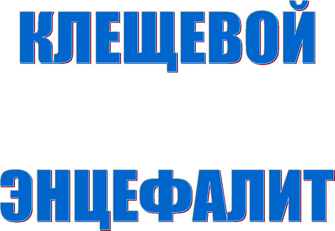 ��������



���������

