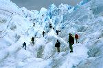 ��� �������� El Calafate
