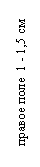�������: ������ ���� 1 - 1,5 ��