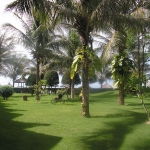 ��������.Intercontinental5*