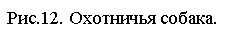 �������: