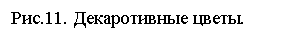 �������: