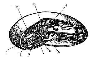 http://www.sbio.info/images/tmp3D0-16.jpg