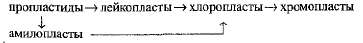 http://www.sbio.info/images/tmp3D0-17.jpg