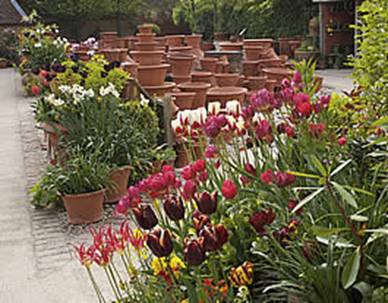 Whichford Pottery Stock Yard