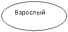 ����: ��������