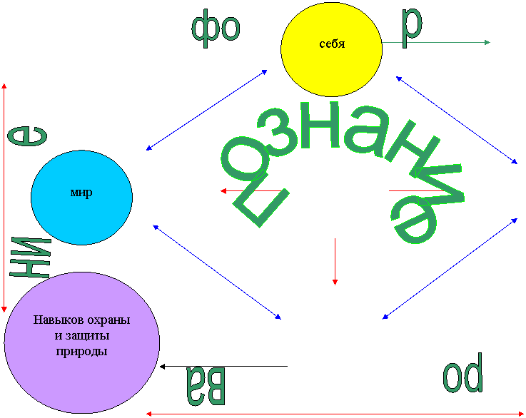 познание,фо,р,ро,ва,ни,е
