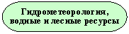 ����-�����:
