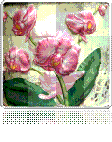 http://*****/images/mk/orhidei/14.jpg