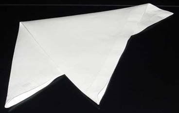 Napkin Fold #4