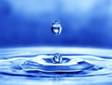 http://t0.gstatic.com/images?q=tbn:ANd9GcSeLGassedXYkn6fYA6kd4lD_o8TCre-hWxCOHYK5Y-h9EGkxG_eA
