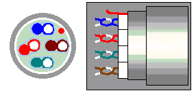 STP.gif (4527 bytes)