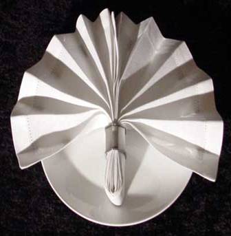 Napkin Ring Fan Fold