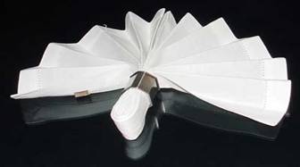 Completed Napkin Ring Fan Fold