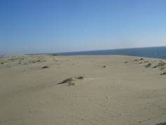 F:\DSC04299.JPG